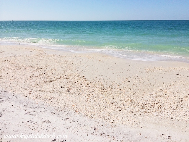 Shelling Southwest Florida