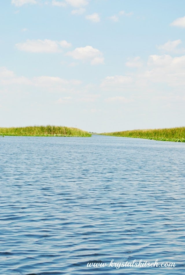 Everglades Holiday Park Review