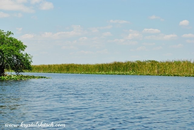 Florida Everglades