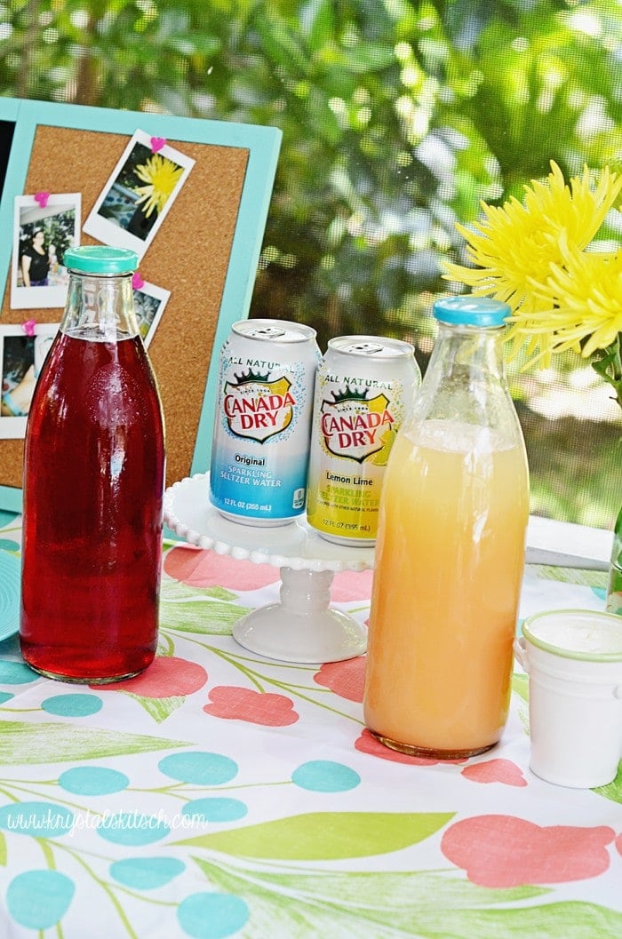 Canada Dry Sparkling Party