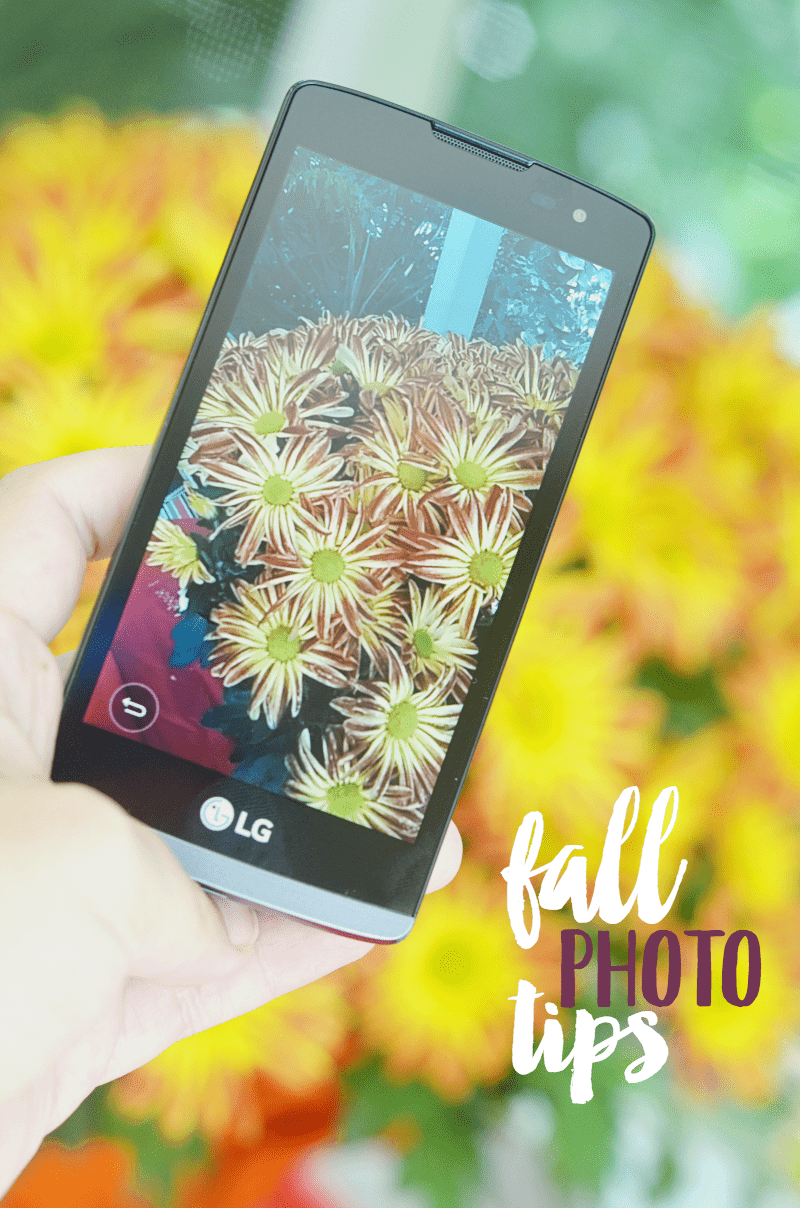 Fall Inspired Photography Ideas