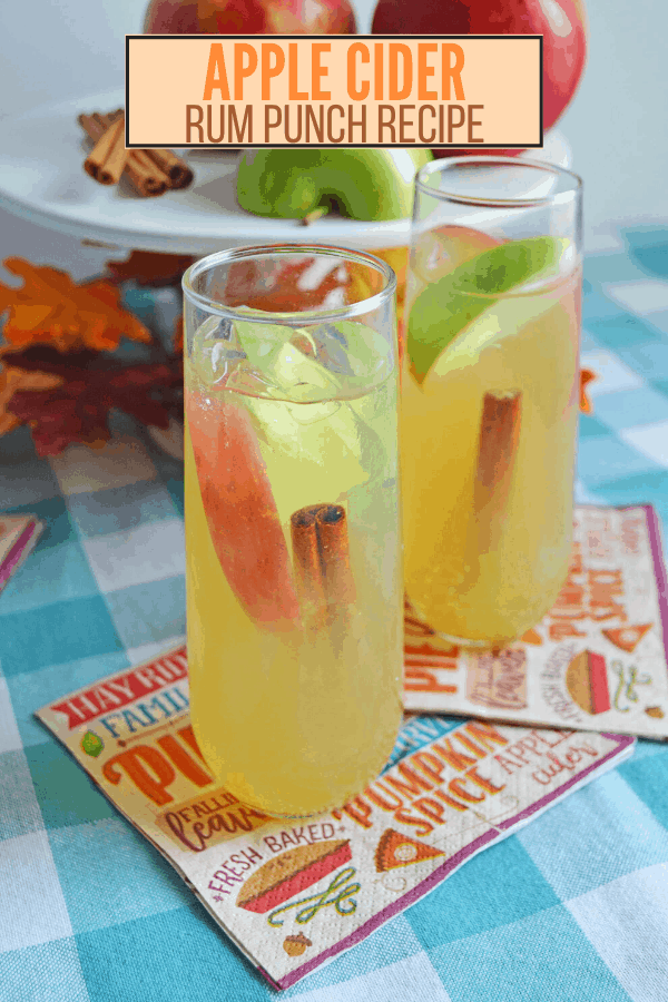 Thanksgiving Cocktails: Apple Cider Rum Punch