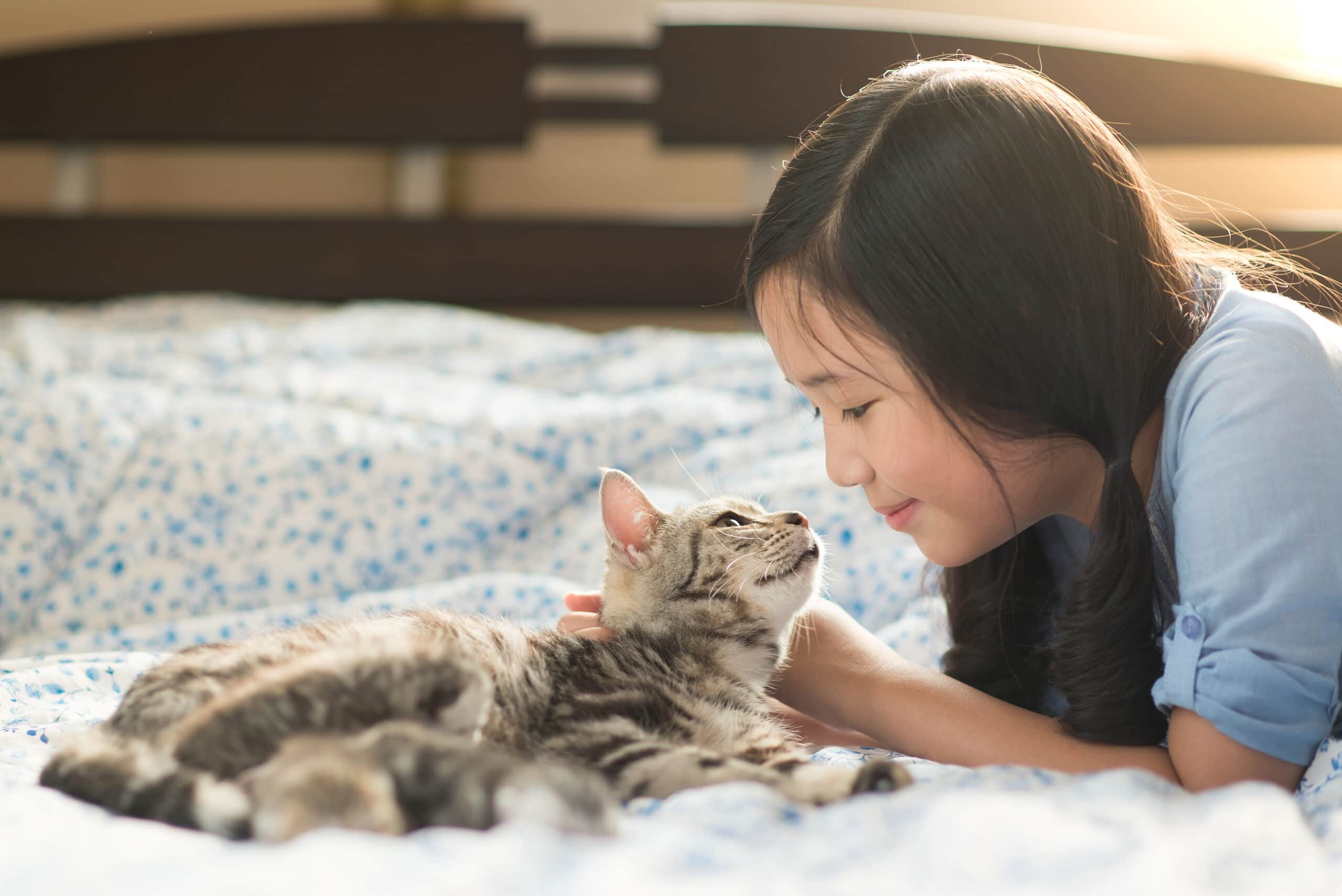 9 Things to Consider Before Getting a Pet » Sunny Sweet Days