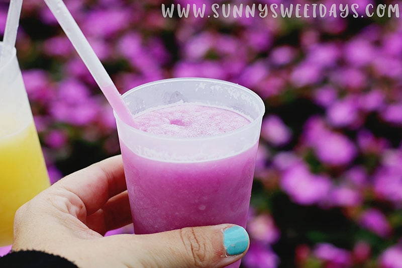 Flower and Garden Festival 2018 at Epcot