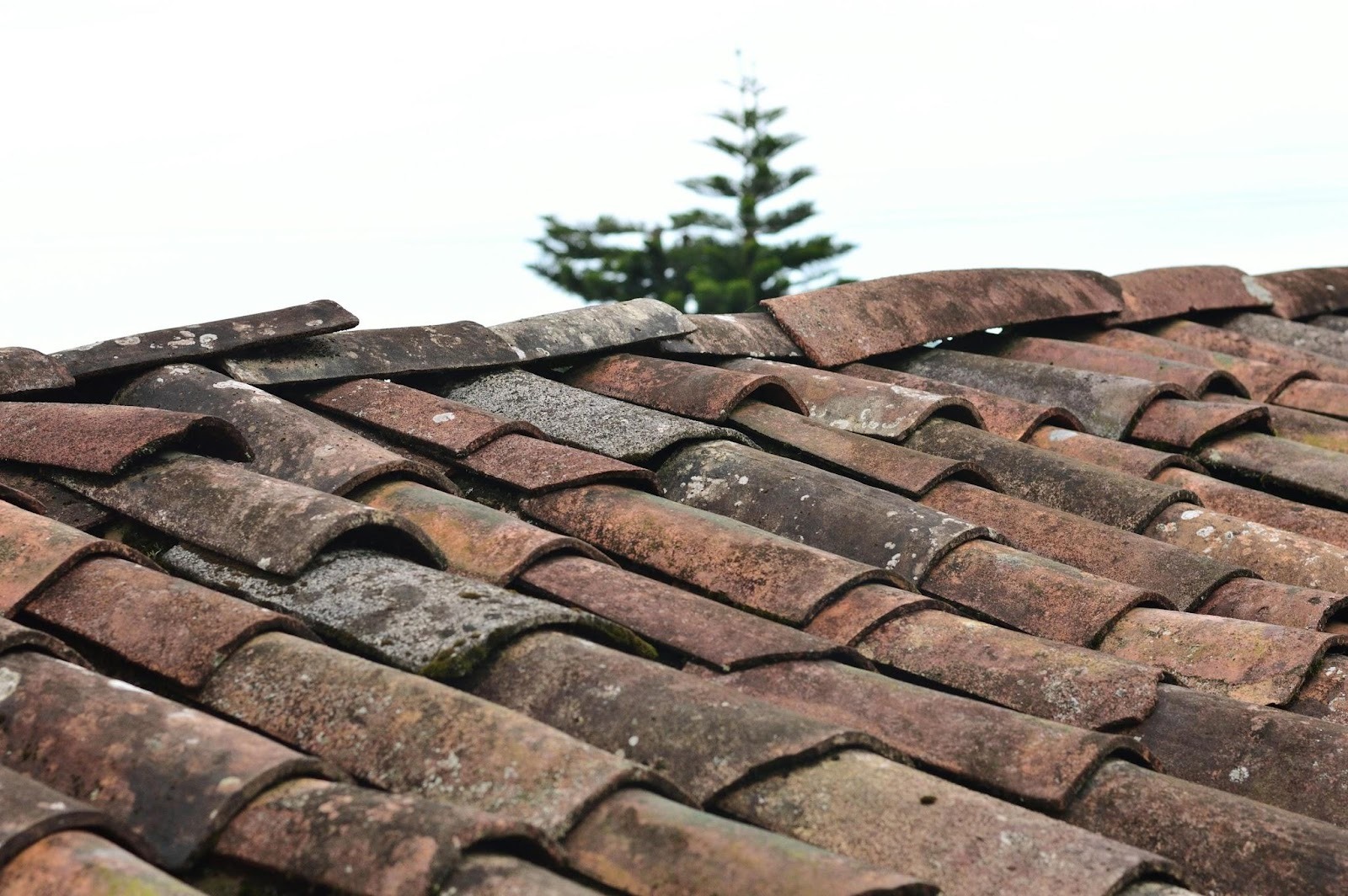 Smart Roof Care Tips To Protect Your Home