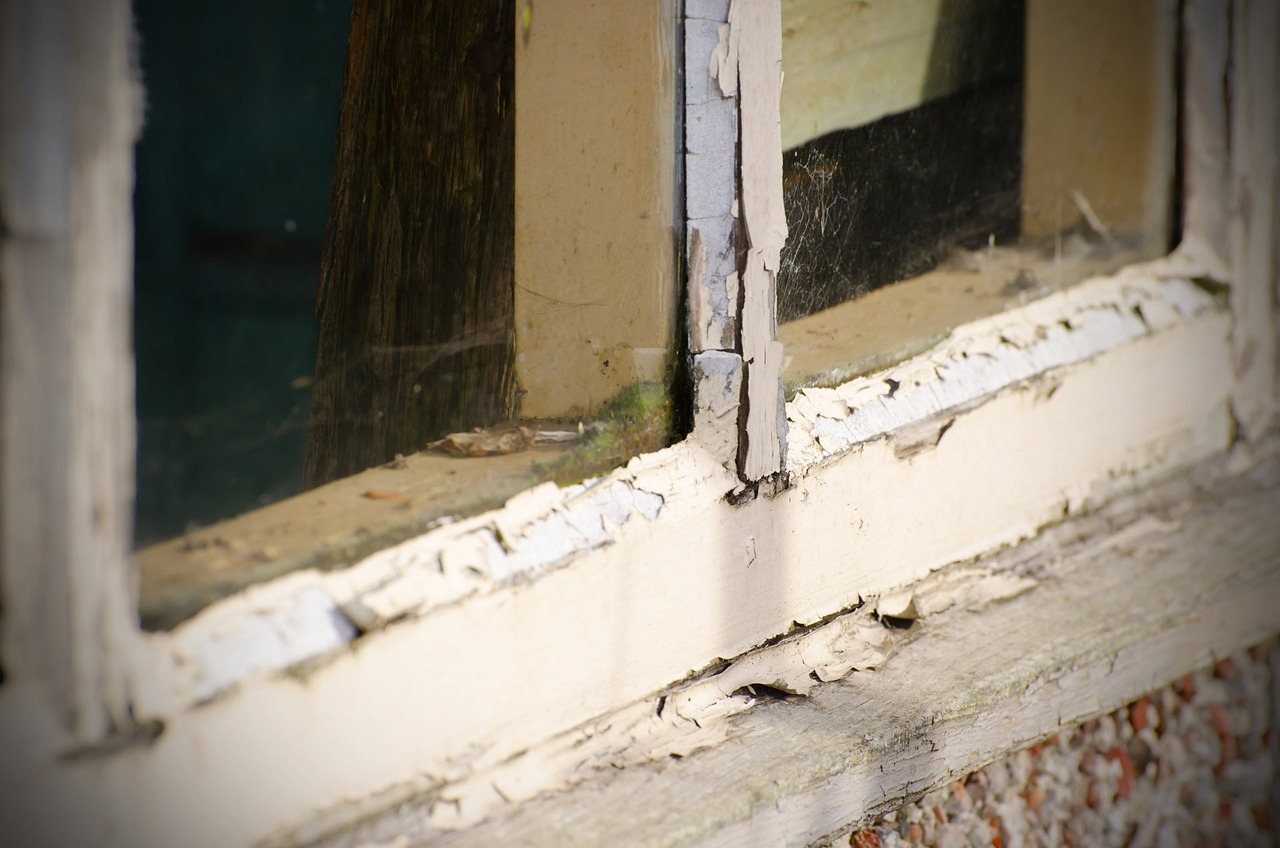 How to Spot, Prevent, and Eliminate Mold at Home