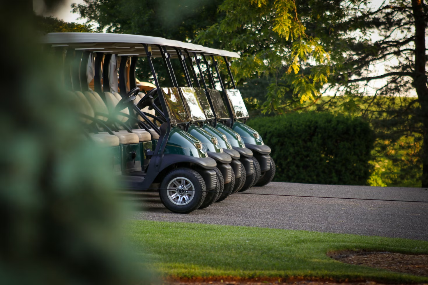 Ultimate Guide to Understanding the Value of Golf Carts