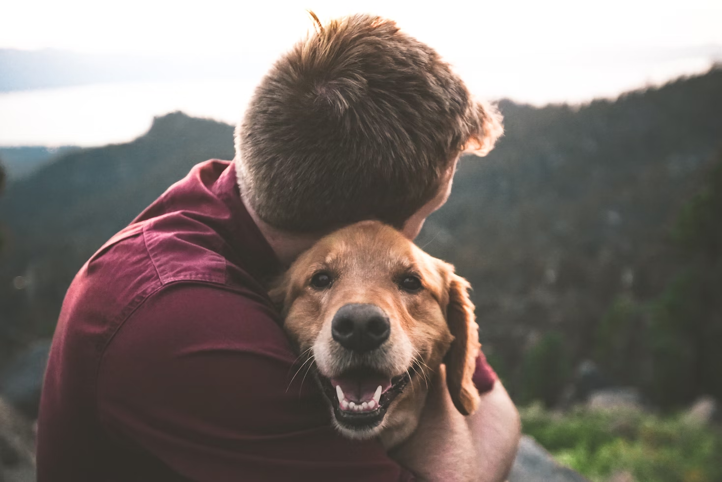 The Lasting Benefits Of Choosing Adoption Over Buying A Pet