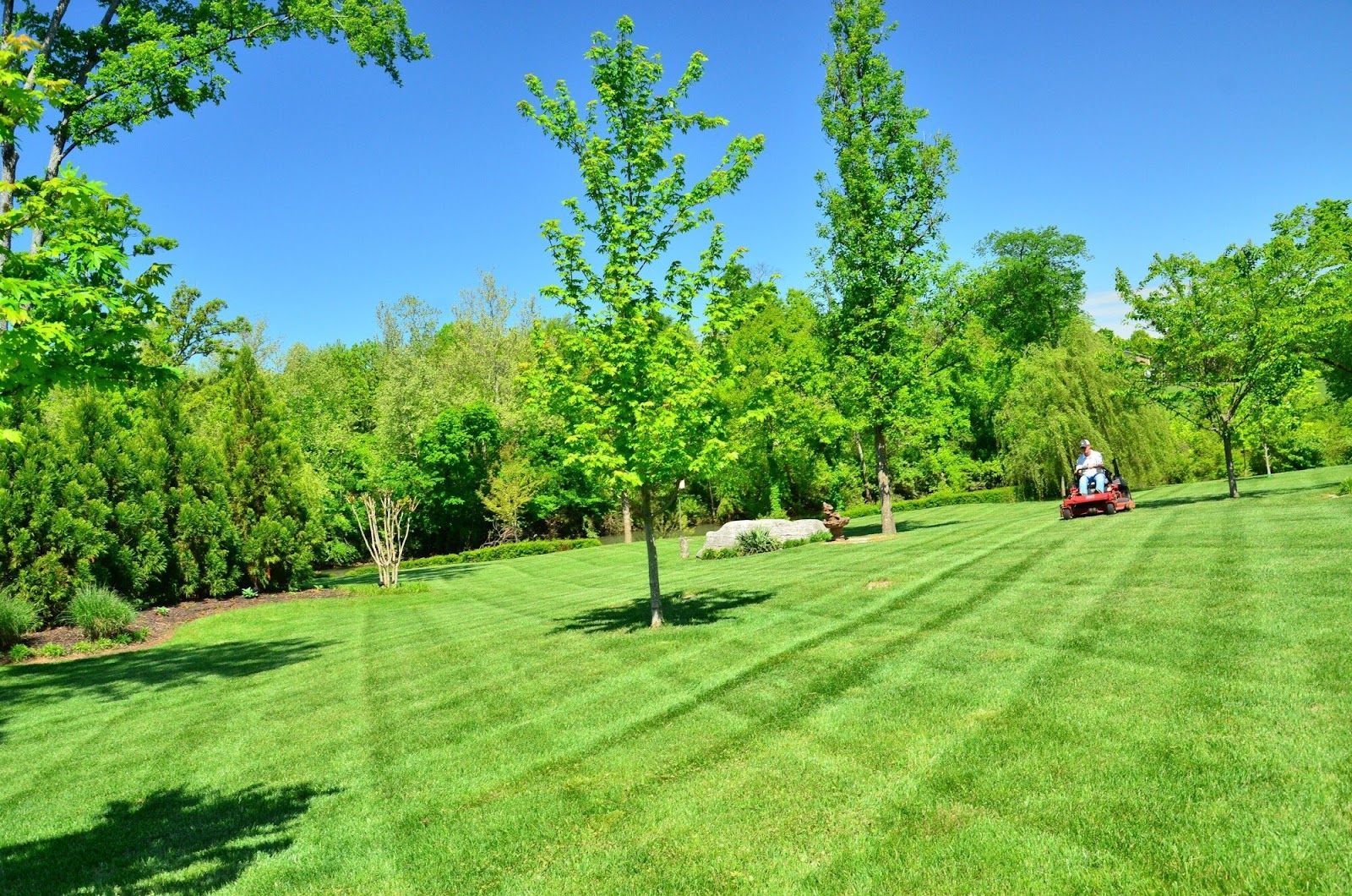 What Every Homeowner Should Know About Effective Lawn Care