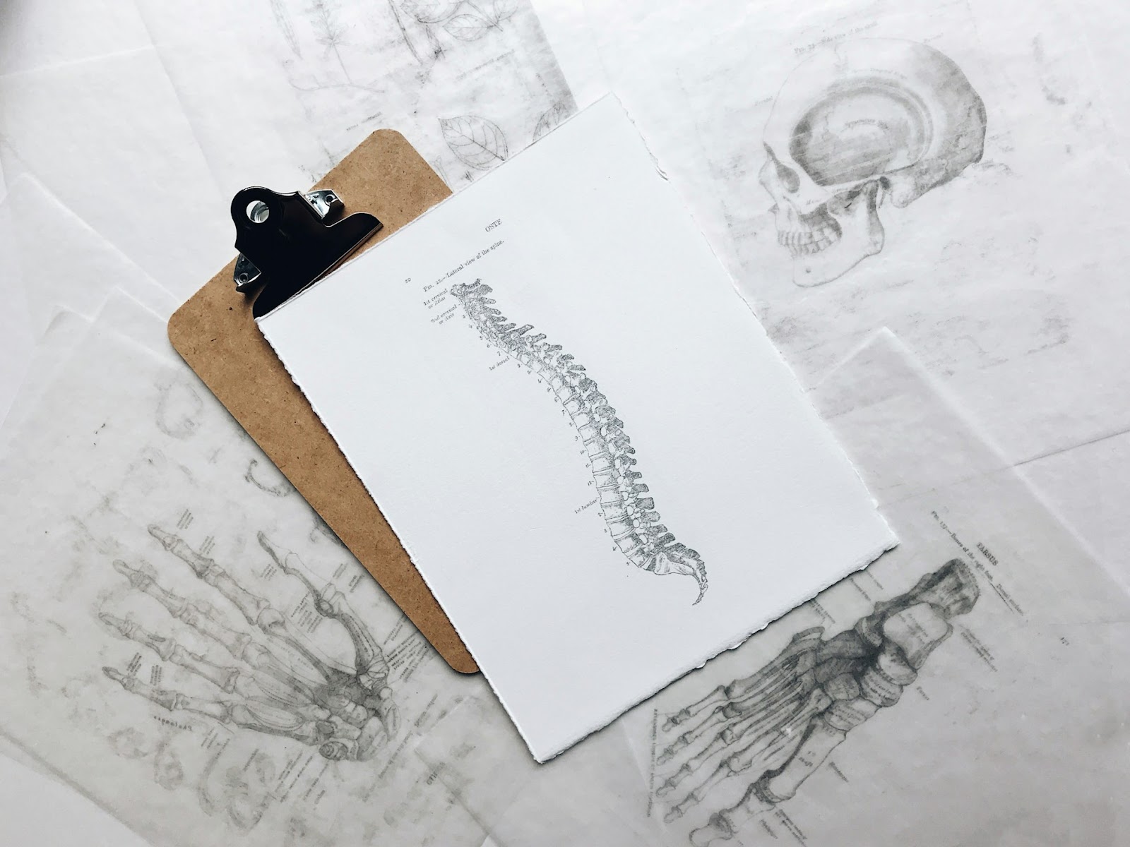 Finding the Right Chiropractic: 6 Essential Tips to Follow