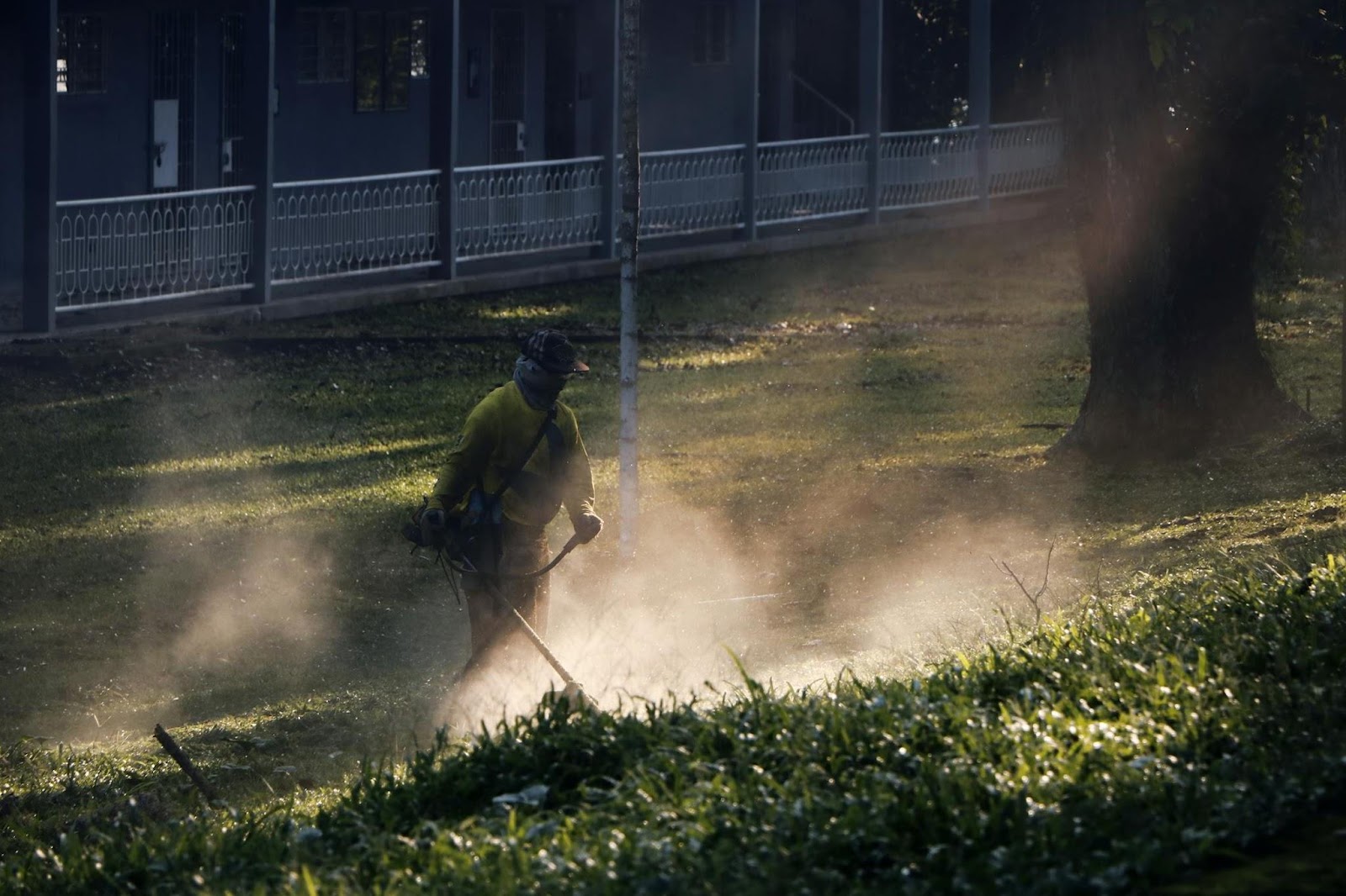 Smooth Cuts Start Here: Tips for Picking the Right Mower