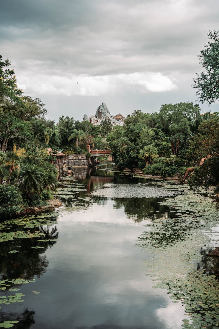 the river in disney s animal kingdom themed park