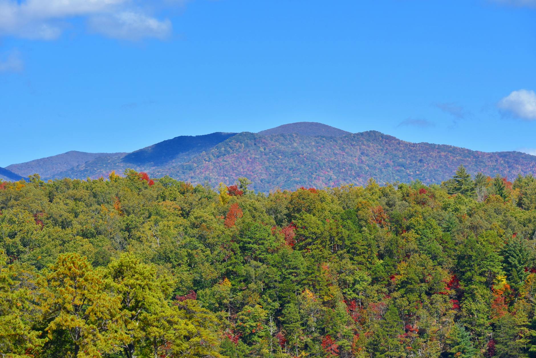 smokey mountains