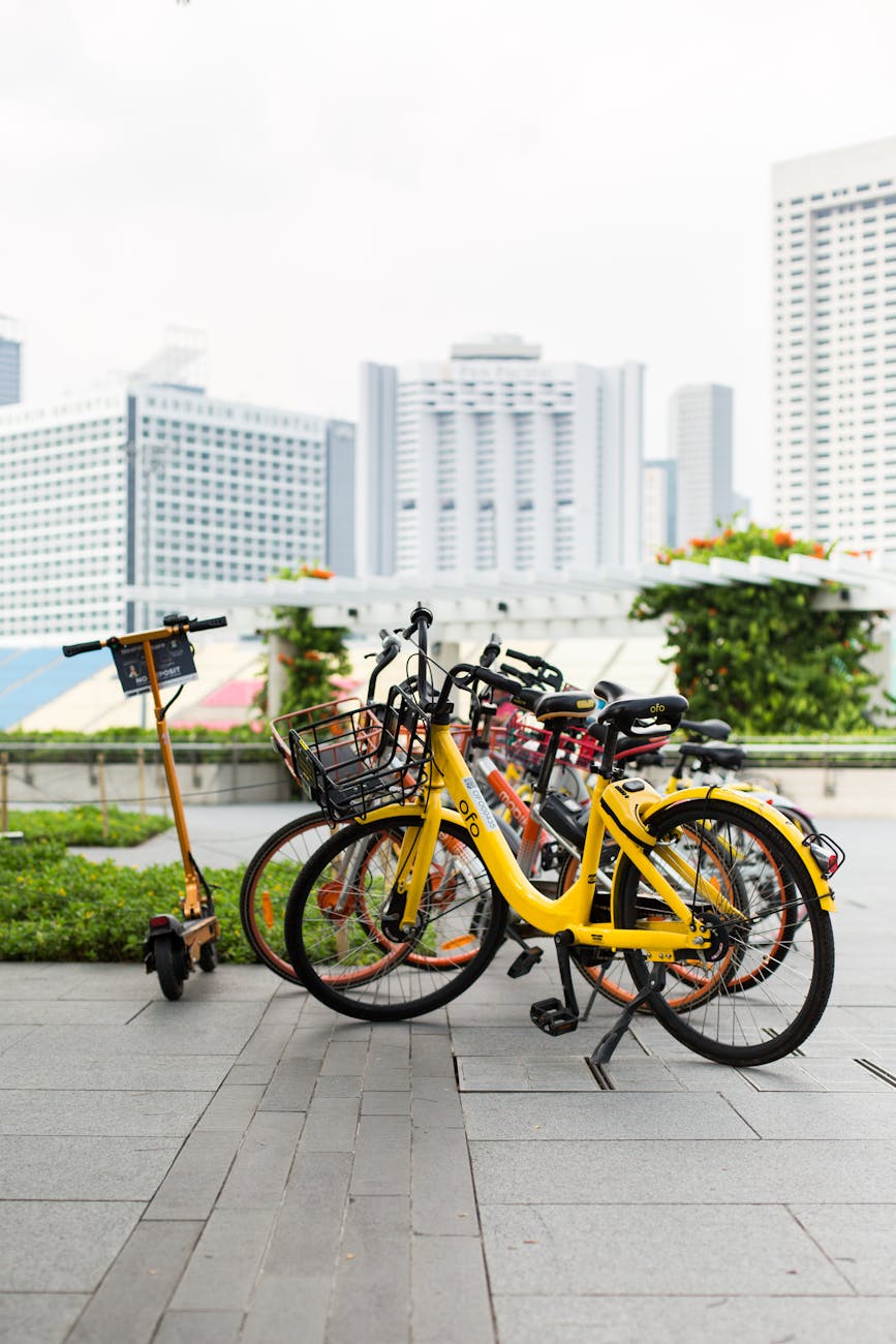 parked bicycles