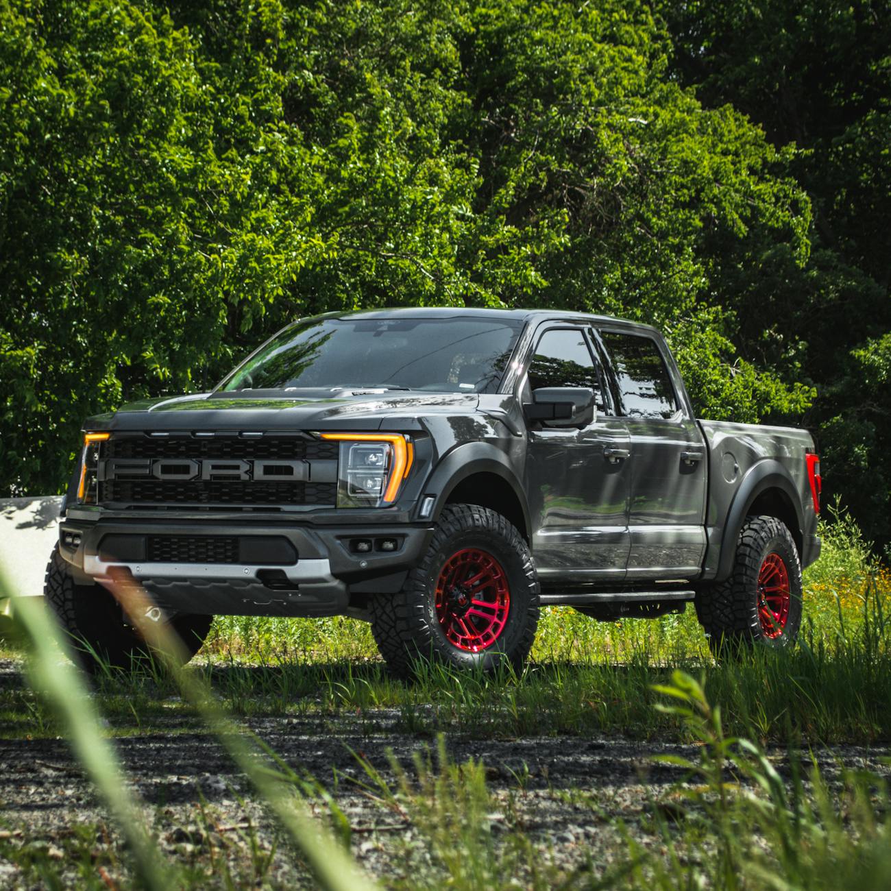 gray ford truck with custom red rims in nature