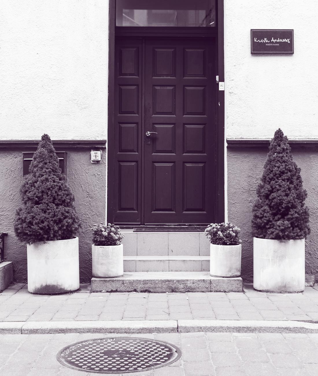 grayscale of black wooden door