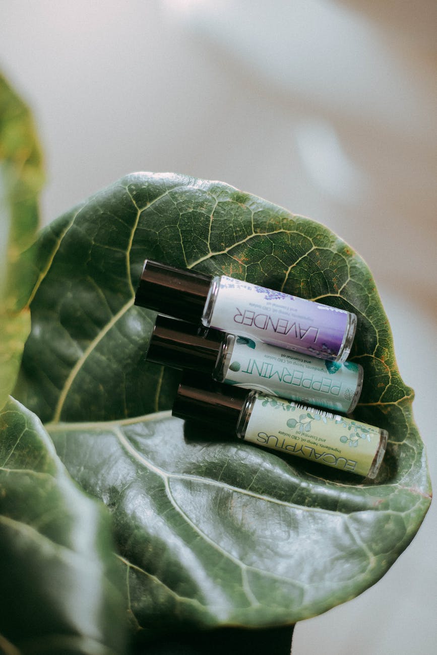photo of three product bottles on green leaf