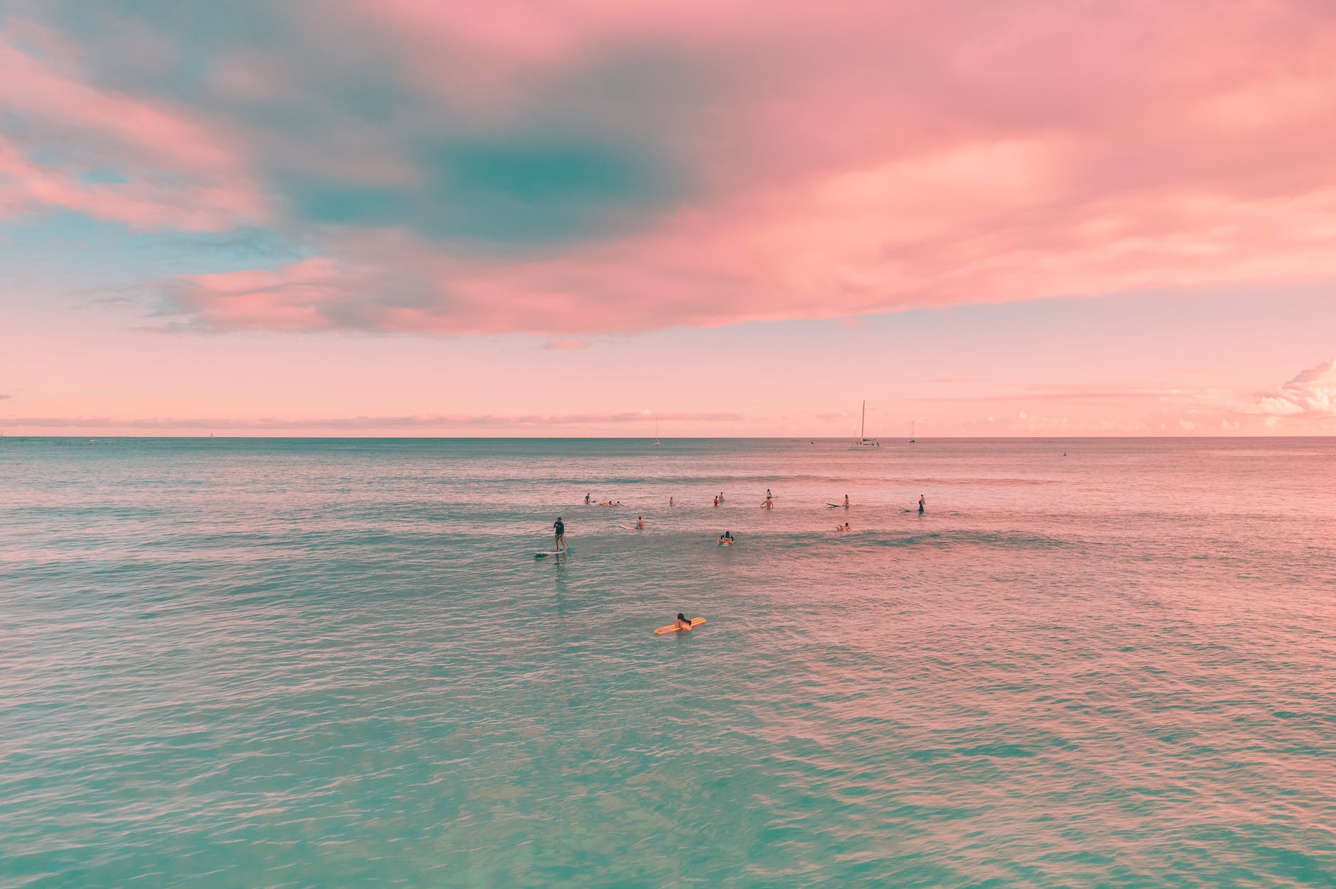 people on beach under a pink sky
